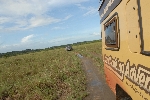vlakte